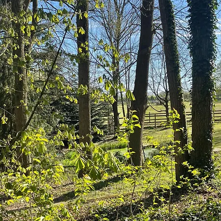 Apartmán Waldblick Im Naturpark De Meinweg